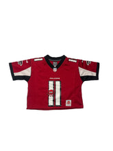 Load image into Gallery viewer, Falcons

