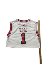 Load image into Gallery viewer, Bulls
