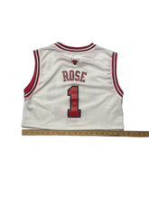 Load image into Gallery viewer, Bulls
